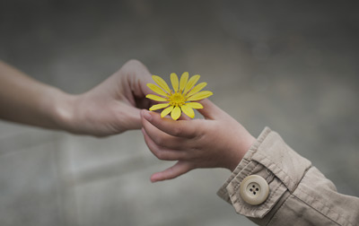 Person giving a single yellow flower to another person representing Sales Performance.